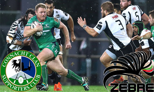 Conn Zebre
