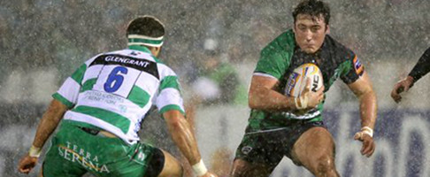 Treviso Buckley