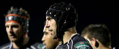 zebre muldoon