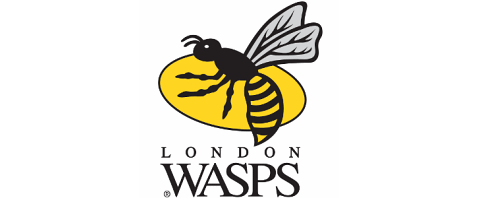 wasps